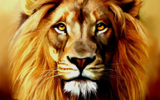 Lion yellow eyes mane painting - this image free wallpaper