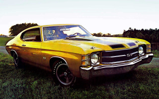 Yellow car grassy field road - a grassy field next free wallpaper