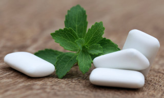 Green leaf white pill wooden - alison watt free wallpaper