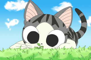 Cat laying grass plant mouth - amano free wallpaper