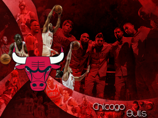 Men bulls basketball team logo - delaunay free wallpaper