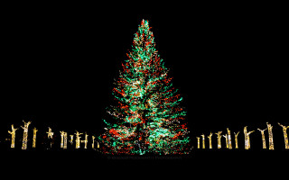 Christmas tree lit man standing - the dark free wallpaper