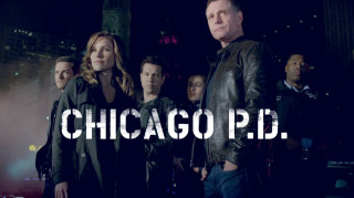Chicago pdd group people standing - david budd free wallpaper