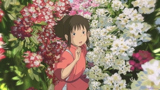 Girl flowers field summer blooming - a field of flowers free wallpaper