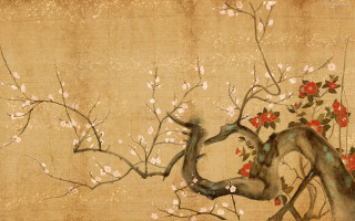 Tree flowers bird branch red 2 - red flower free wallpaper