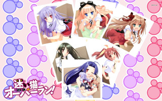 Anime girls multiple haircolors animal - different free wallpaper