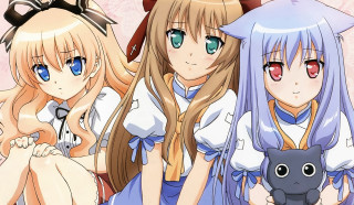 Three anime girls cat ears - blue eye free wallpaper