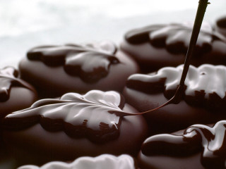 Chocolate covered donut spoon leaf - decadent free wallpaper