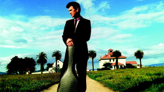Man suit elephant tail field - palm tree free wallpaper