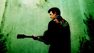 Man guitar green wall vines - a guitar free wallpaper