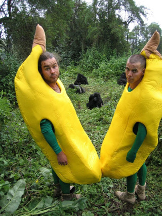 Banana costume people woods holding - alex petruk ape free wallpaper