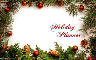 Holiday planner pine cones ornaments - a wireframe diagram free wallpaper