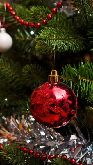 Red ornament christmas tree berries - branch free wallpaper
