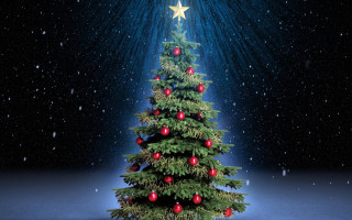 Christmas tree snow star above - a star above free wallpaper