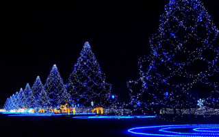 Christmas tree blue lights night 2 - edi rama free wallpaper