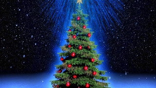 Christmas tree snow blue background 2 - hd wallpaper free wallpaper