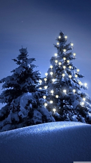Snowy landscape christmas tree full - full free wallpaper