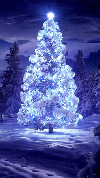 Lit christmas tree snowy landscape - night free wallpaper