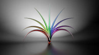 Colorful plant thin stems dark - thin free wallpaper