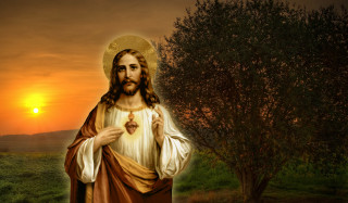 Jesus holding heart sunset background - a tree in the foreground free wallpaper