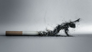 Cigarette horse broken thrown air - a surrealist sculpture free wallpaper