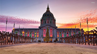 Large building christmas tree sunset 2 - a pink sky in the background free wallpaper for desktop