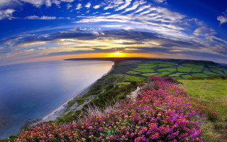 Sunset grassy hill flower water - beautiful free wallpaper