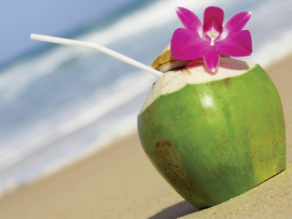 Green coconut drink pink flower - a.d.m. cooper free wallpaper