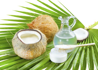 Coconut oil cut coconut palm - an gyeon free wallpaper