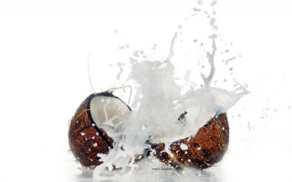 Coconut splashing milk water white - food photography free wallpaper