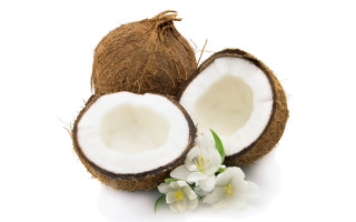 Coconut flower half side image - coppo di marcovaldo free wallpaper