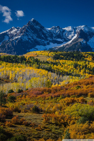 Mountain range snow covered trees - the foreground free wallpaper