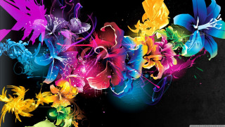 Colorful flower background black white - vivid free wallpaper