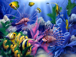 Sea life fantasy coral reef - ernst haeckel free wallpaper