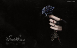 Hand holding rose ring black - underneath free wallpaper
