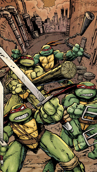 Teenaged turtles fighting knife sword - andrew robinson free wallpaper