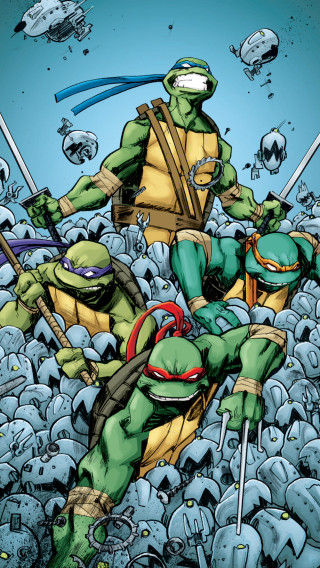 Teenage ninjas fighting rocks skulls - andrew robinson free wallpaper
