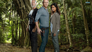 Forest group people blue shirt - andrew bell free wallpaper
