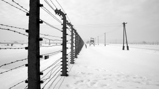 Fence barbed wire telephone pole - a snowy day free wallpaper