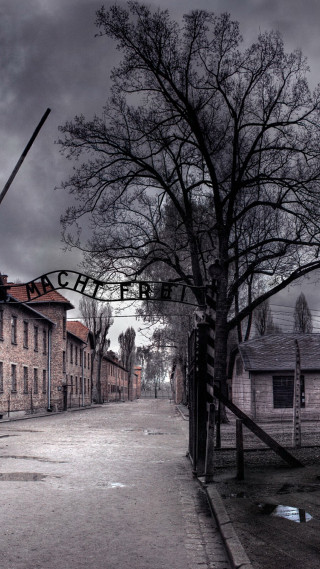 City center street tree building - a detailed matte painting free wallpaper