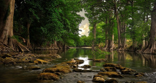 River rocks trees water cloudy 3 - cloudy free wallpaper