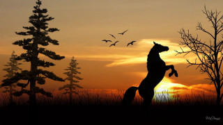 Horse jumping sunset birds flying - a tree in the foreground free wallpaper
