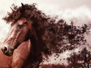 Horse tree sky clouds light - flowing hair free wallpaper