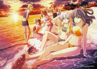 Beach sunset women group ocean - top of a beach next free wallpaper