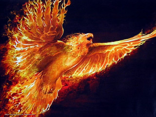 Orange wings black background red - orange free wallpaper