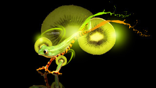 Green lizard branch kiwi mouth - its back free wallpaper