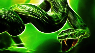 Green snake mouth open tongue 6 - a green snake free wallpaper