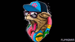 Cat hat sunglasses headphone cat - a hat and sunglasses free wallpaper