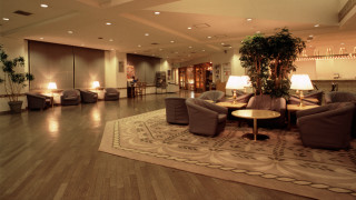 Living room furniture rug plant - diffuse free wallpaper