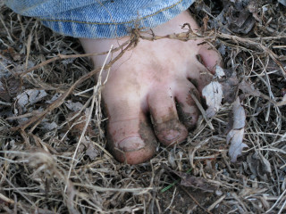 Dirty hands dirt grass dead - andy goldsworthy free wallpaper